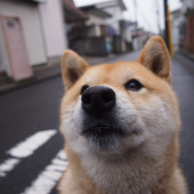 Kysports-【奥沙利文训练秘籍】提升攻防一体的实用方法，奥沙利文的防守水平怎么样