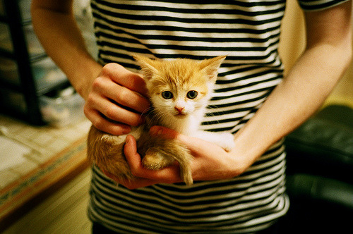 业余选手到职业选手的成长路径调查，职业选手和业余选手的区别感悟