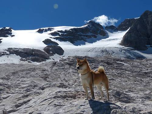 传奇巨星的不老传说,看他们退役后如何继续影响联盟,不老传说百度百科