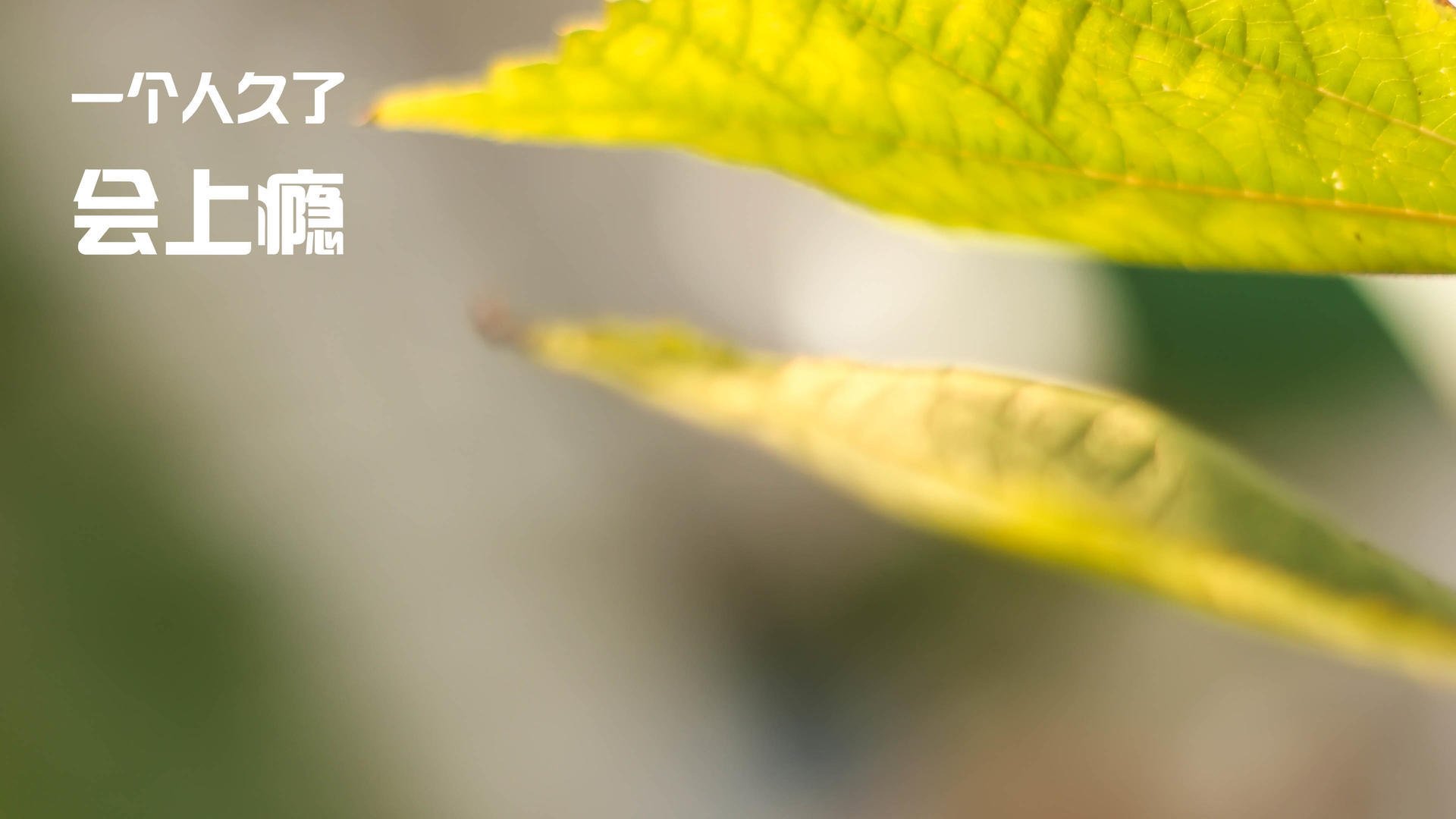 库里:改变NBA三分打法的“绝杀之王”,库里绝杀三分视频