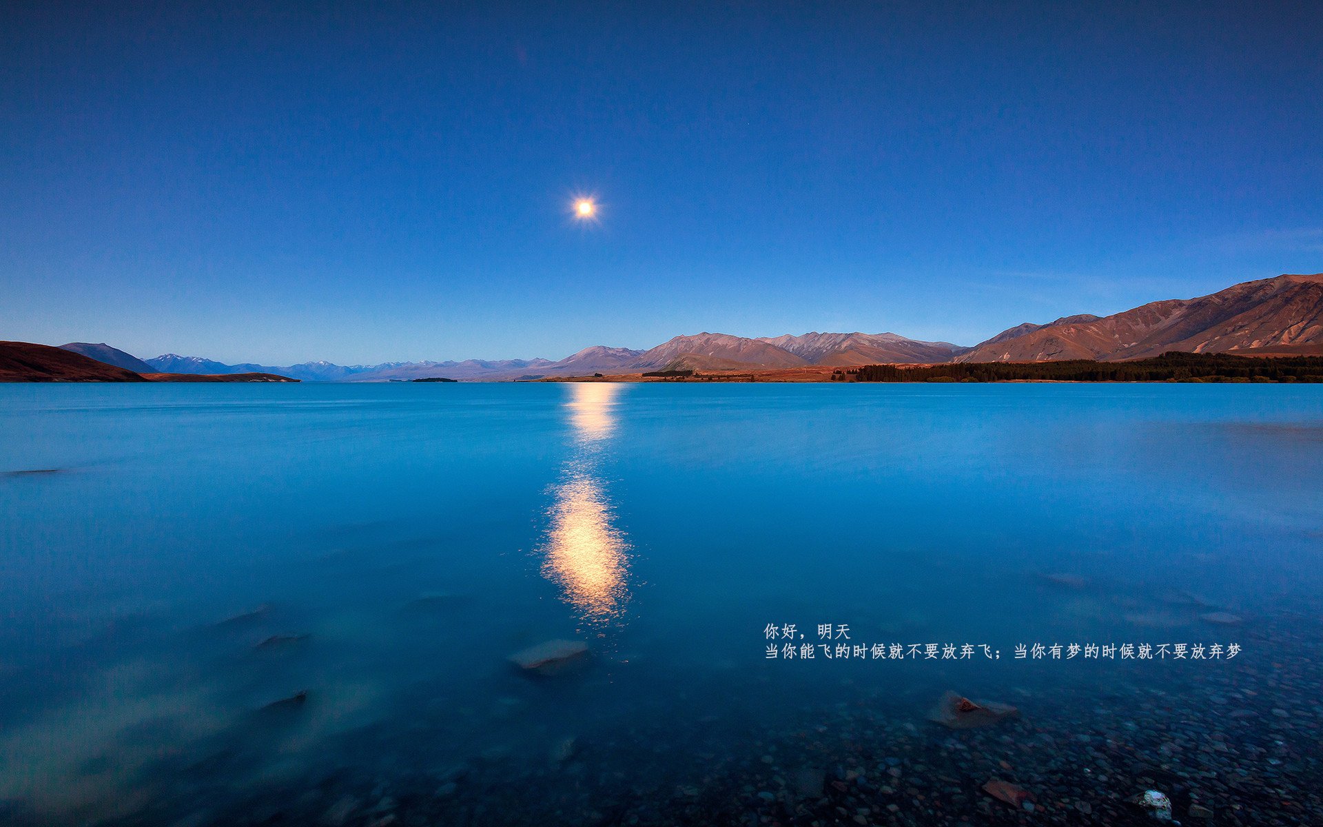 维克托·文班亚马(Victor Wembanyama)当选2024年NBA最佳新秀,2020年nba最佳新秀什么时候公布