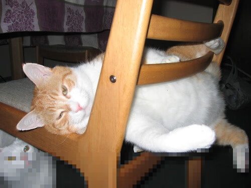 西甲：马德里竞技客场取胜，稳固前四位置，马德里竞技队主场