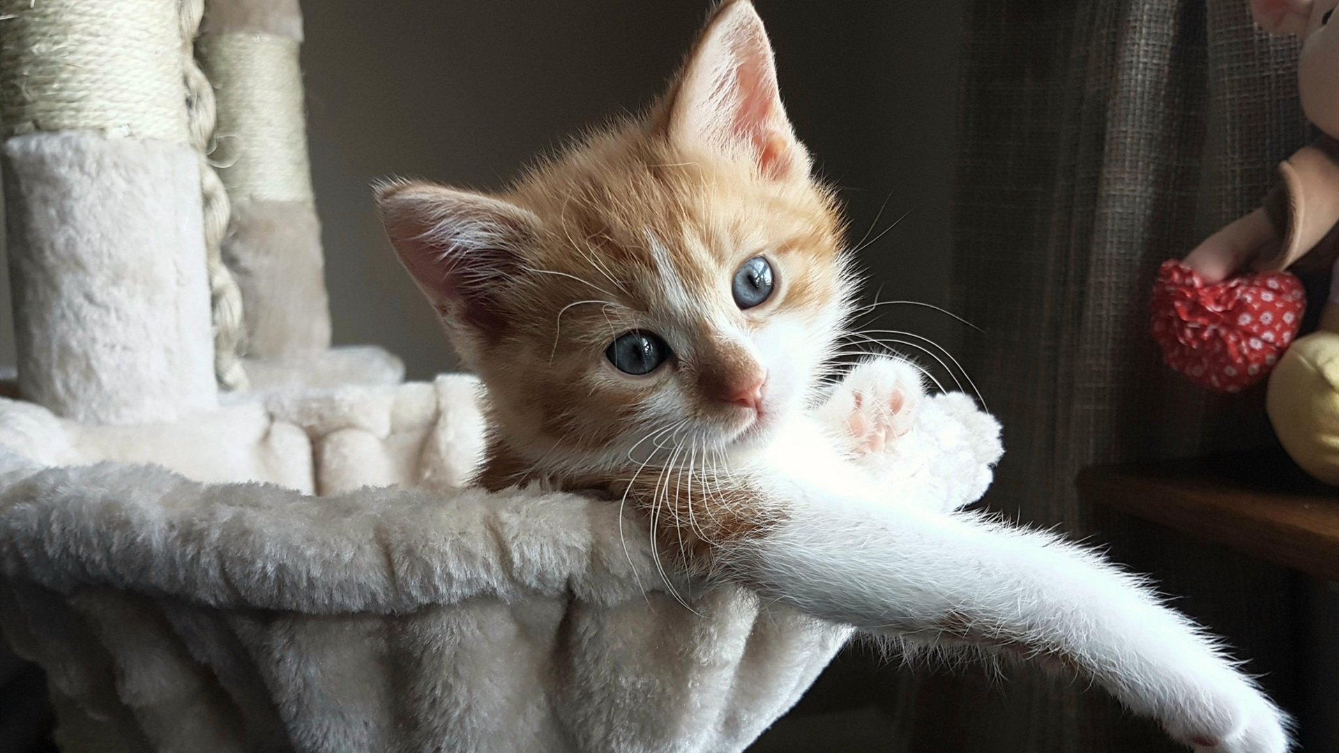 开云官方-青少年足球运动员海外训练营开营，拓展视野，青少年足球培训课程