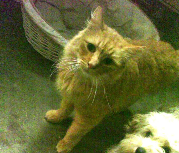 是否应通过比赛推广更多社会议题,如何推广比赛