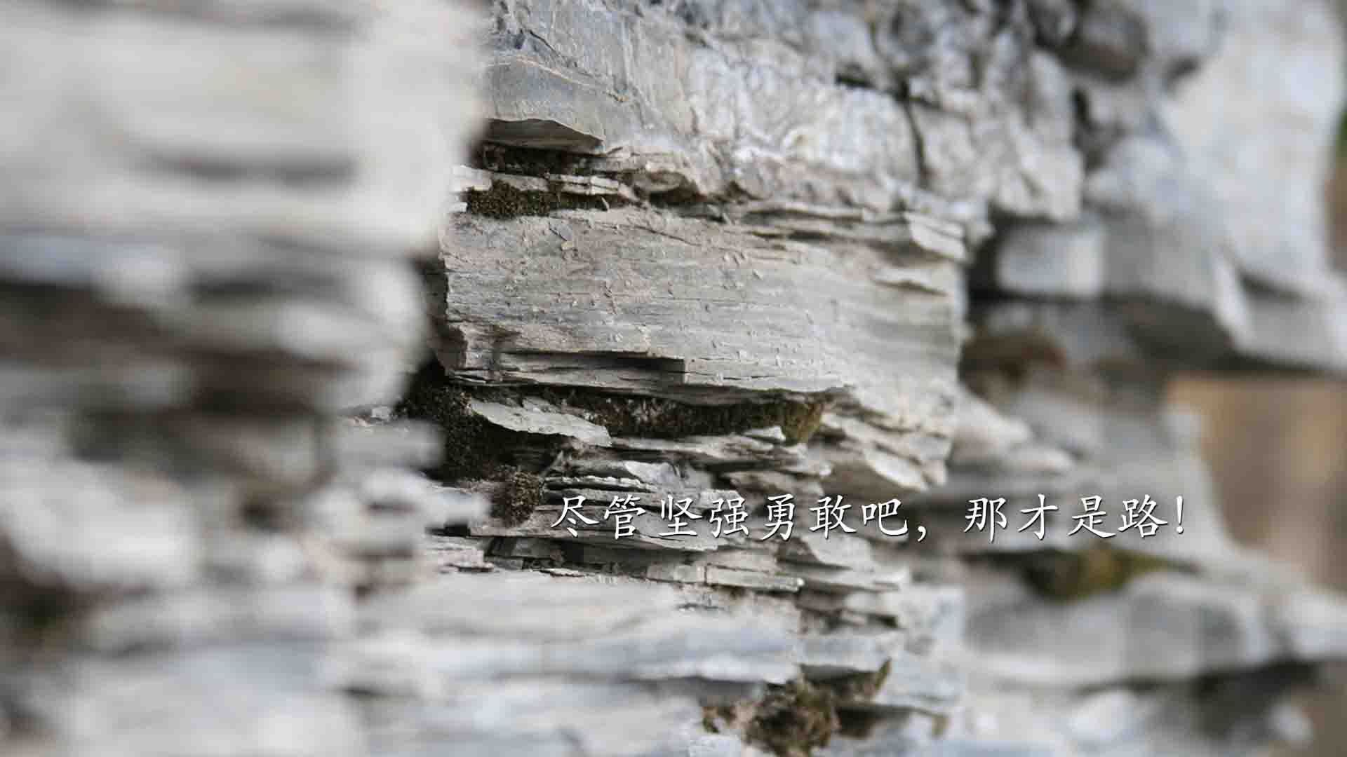 开云体育下载-世界杯预选赛中国青年队战平 战术调整成焦点，2022世界杯预选赛中国队赛程时间表一览