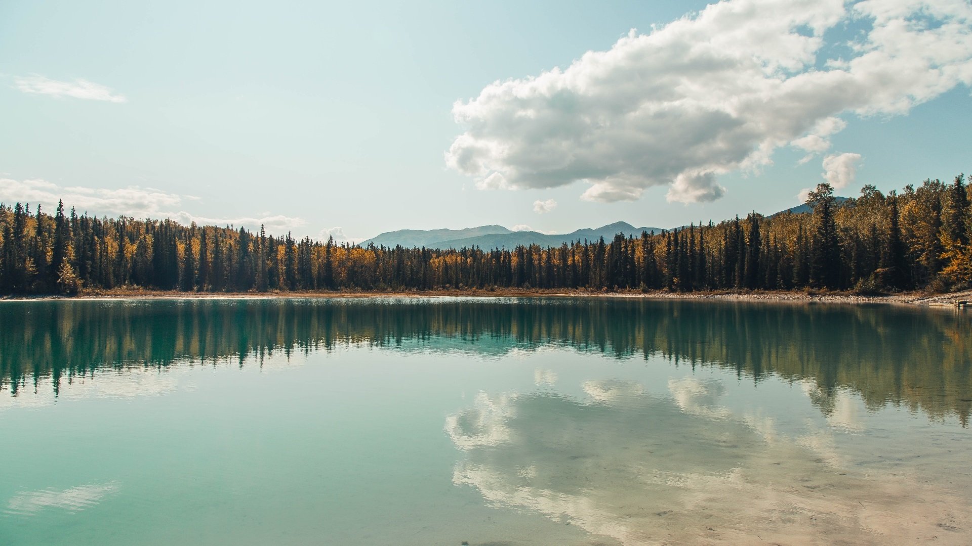开云官方-中超联赛平局世界杯预选赛 技术分析引热议，世界杯预选赛中国队平局