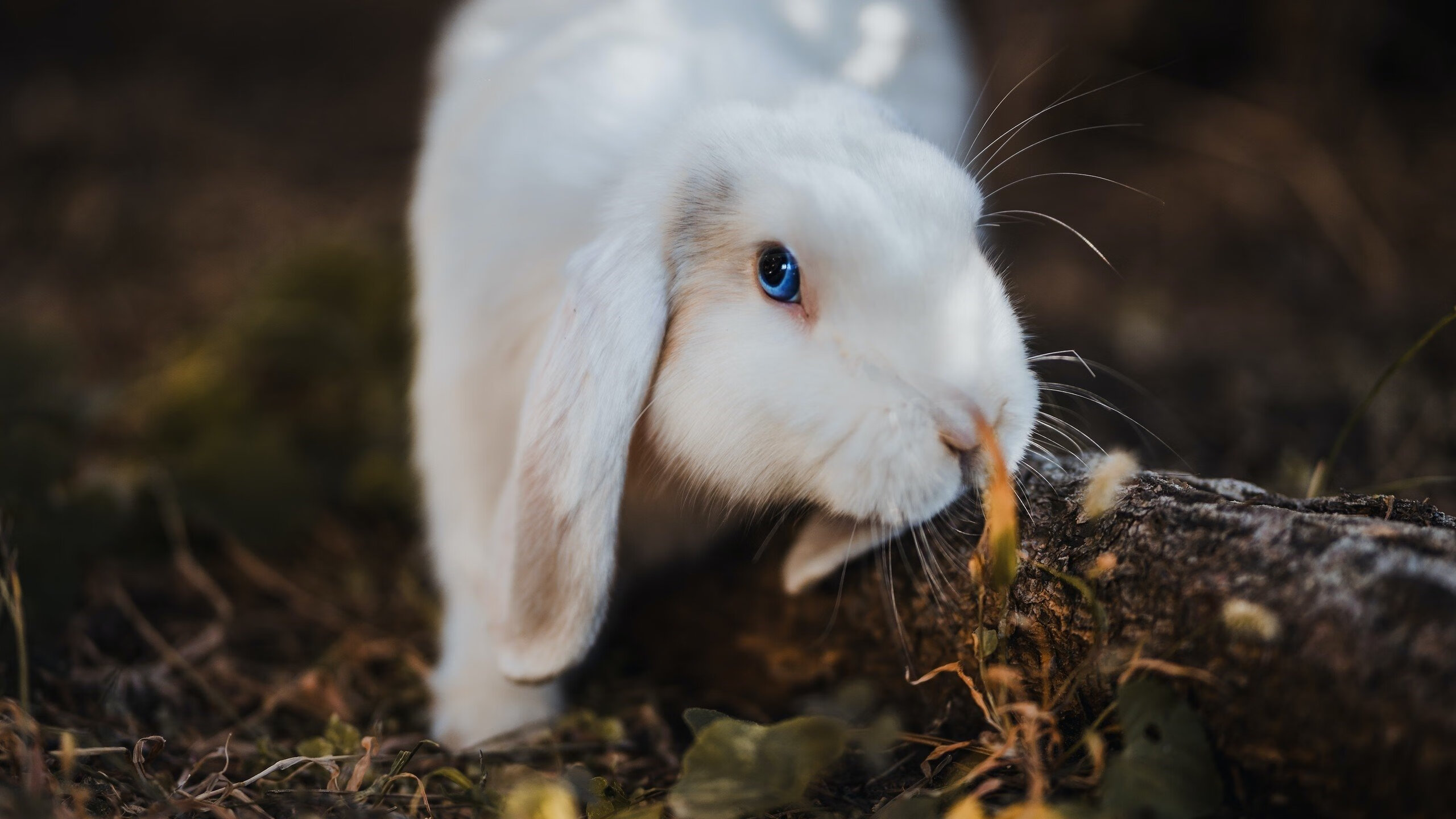 国际热身赛中国青年队惨败 球迷热议换人策略,国家队热身赛